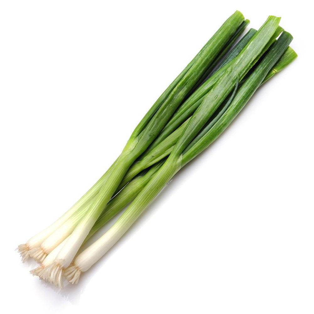 Green Onion (1 Bunch)