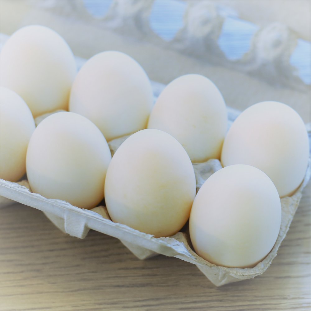 Dozen Large Eggs (Sample)