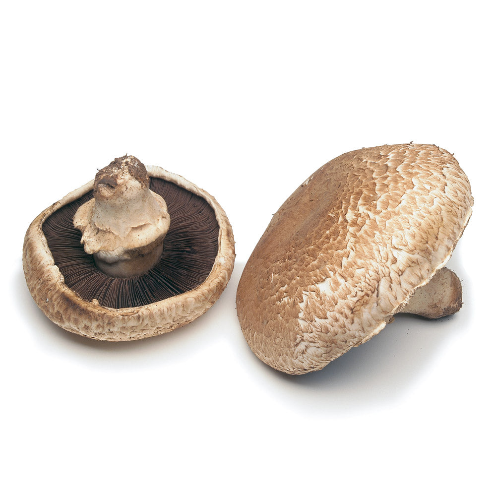 Portobello Mushroom (1 Lb)